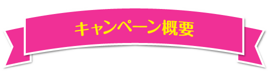 キャンペーン概要
